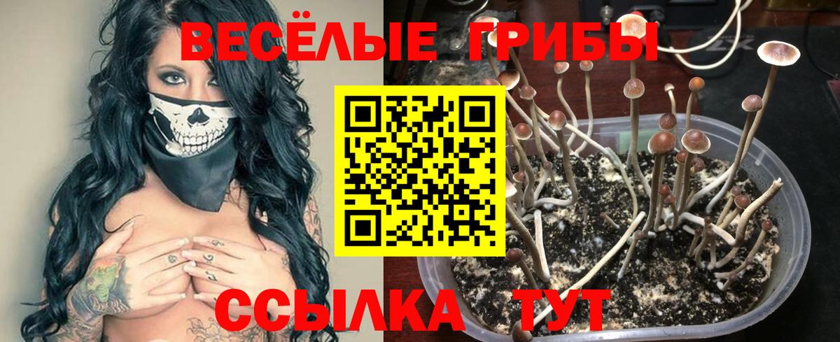 Галлюциногенные грибы MAGIC MUSHROOMS Елизово