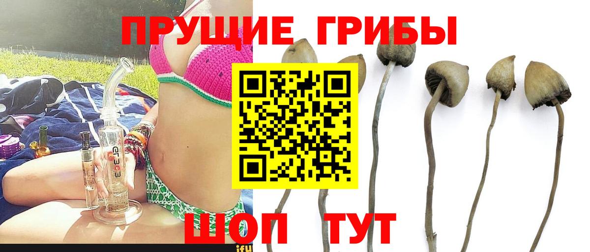 Псилоцибиновые грибы Magic Shrooms  Вход с VPN  Елизово 